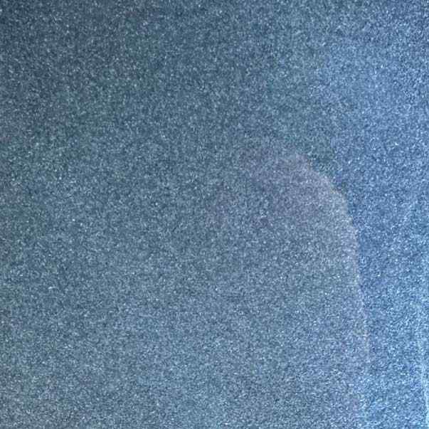 Whale
